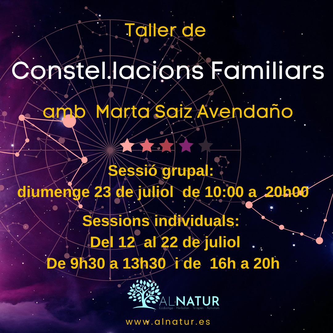 Constel.lacions Familiars en grup 23 juliol, amb Marta Saiz Avendaño
